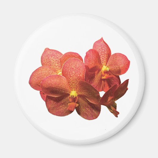 Gepunktet Orange Orchids Magnet (Vorne)