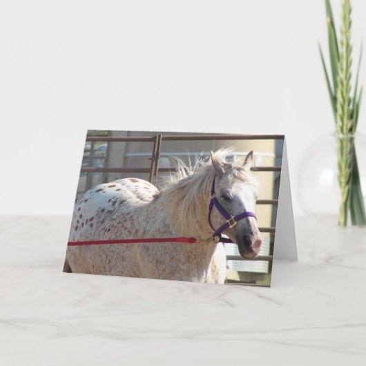 Gepunktet Pony Karte (Vorderseite)