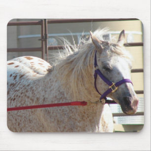 Gepunktet Pony Mousepad