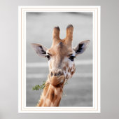 Gepunktet Poster (Vorne)