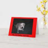 Gepunktet raten Sie Karte (Gelbe Blume)