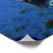 Gepunktet Ray Poster (Ecke)