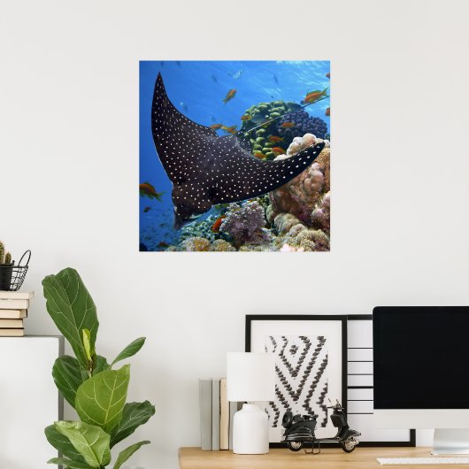 Gepunktet Ray Poster (Heimbüro)