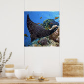 Gepunktet Ray Poster (Küche)