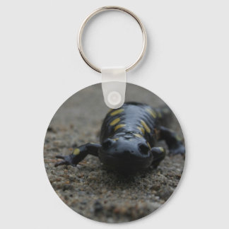 Gepunktet Salamander Schlüsselanhänger