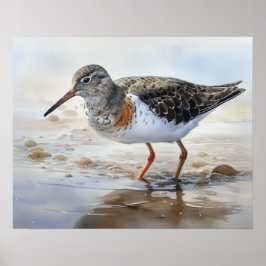 Gepunktet Sandpiper Bird Art Print Poster