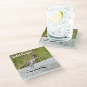 Gepunktet Sandpiper Glasuntersetzer (Schrägansicht)