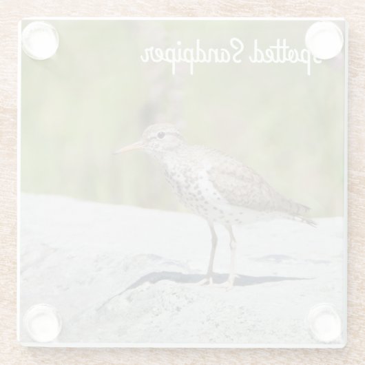 Gepunktet Sandpiper Glasuntersetzer (Rückseite)