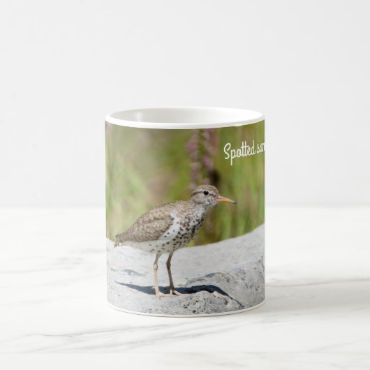 Gepunktet Sandpiper Kaffeetasse (Mittel)