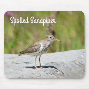 Gepunktet Sandpiper Mousepad