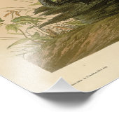 Gepunktet (Spruce) Grouse Audubon's Birds of Ameri Fotodruck (Ecke)