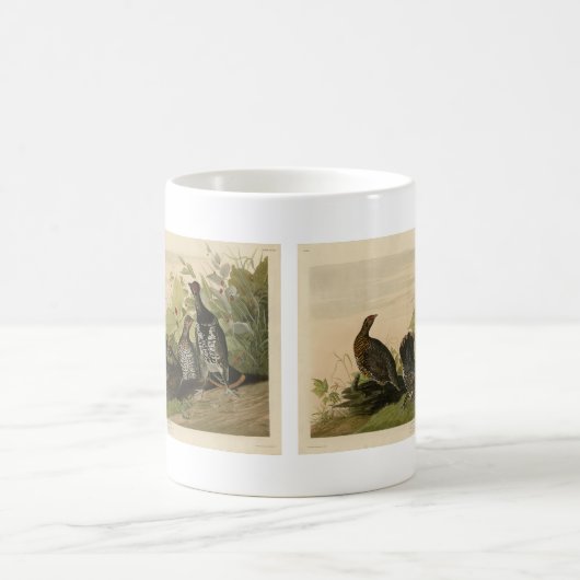 Gepunktet (Spruce) Grouse Audubon's Birds of Ameri Kaffeetasse (Mittel)
