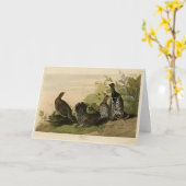 Gepunktet (Spruce) Grouse Audubon's Birds of Ameri Karte (Gelbe Blume)