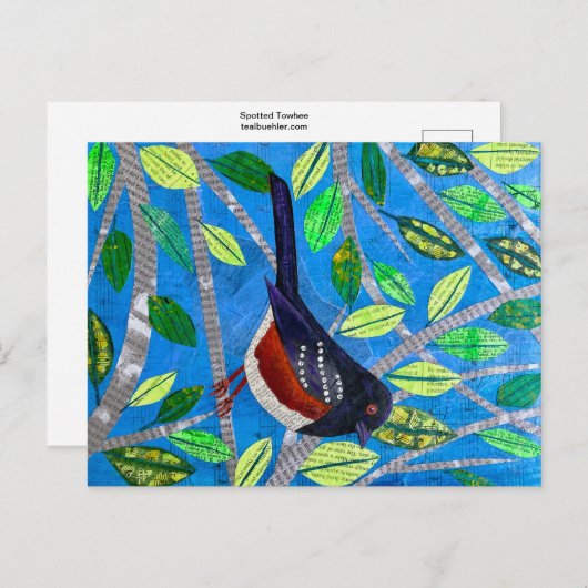 Gepunktet Towhee Postkarte (Vorne/Hinten)