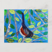 Gepunktet Towhee Postkarte (Vorderseite)