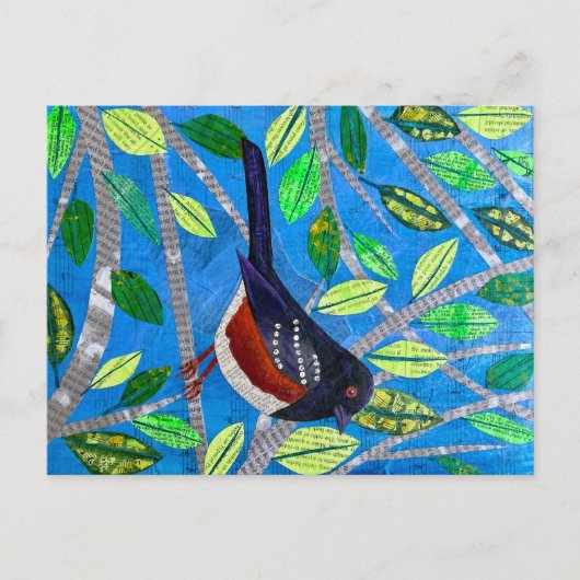 Gepunktet Towhee Postkarte (Vorderseite)