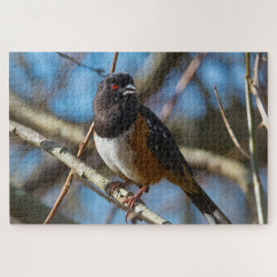 Gepunktet Towhee Puzzle