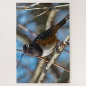 Gepunktet Towhee Puzzle (Vertikal)