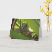 Gepunktet Turtle Dove Grußkarte Karte (Gelbe Blume)