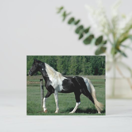 Gepunktet Walker Postkarte (Stehend Vorderseite)