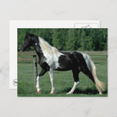 Gepunktet Walker Postkarte (Vorne/Hinten)