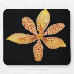 Gepunktete BlackBerry-Lilie Mousepad