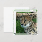 Gepunktete Einladung (Vorne/Hinten)