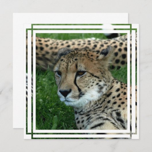 Gepunktete Einladung (Vorne/Hinten)