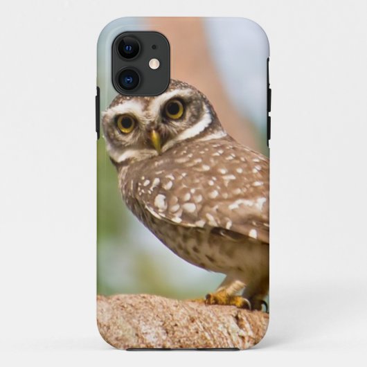 Gepunktete Eule auf Morgenflug Case-Mate iPhone Hülle (Rückseite)