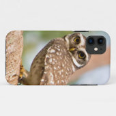 Gepunktete Eule auf Morgenflug Case-Mate iPhone Hülle (Rückseite (Horizontal))