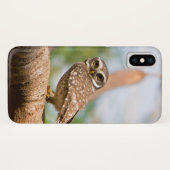 Gepunktete Eule auf Morgenflug Case-Mate iPhone Hülle (Rückseite (Horizontal))