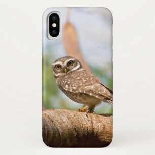 Gepunktete Eule auf Morgenflug Case-Mate iPhone Hülle