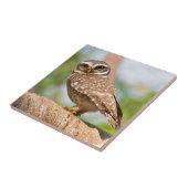 Gepunktete Eule auf Morgenflug Fliese (Seite)