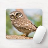 Gepunktete Eule auf Morgenflug Mousepad (Mit Mouse)