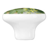 Gepunktete Fliegenfänger, KunstIllustration Keramikknauf (Seitenansicht)