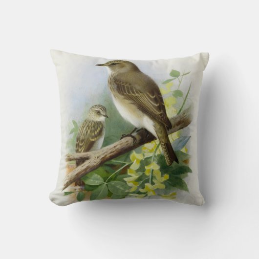 Gepunktete Fliegenfänger, KunstIllustration Kissen (Vorderseite)