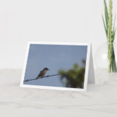 Gepunktete Flycatcher-Vogelkarte Karte (Vorderseite)