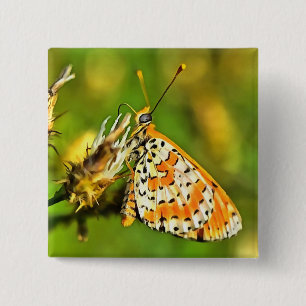 Gepunktete Fritillary Orange und White Butterfly Button