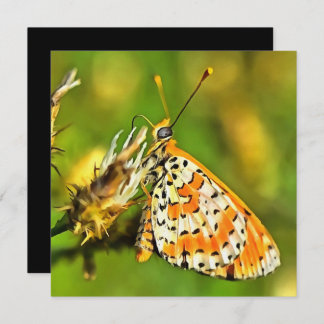 Gepunktete Fritillary Orange und White Butterfly Einladung