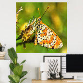 Gepunktete Fritillary Orange und White Butterfly Poster (Heimbüro)