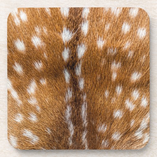 Gepunktete Hirschpelzstruktur Getränkeuntersetzer (Vorderseite)