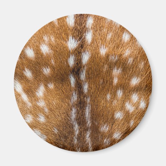 Gepunktete Hirschpelzstruktur Magnet (Vorne)