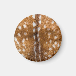 Gepunktete Hirschpelzstruktur Magnet