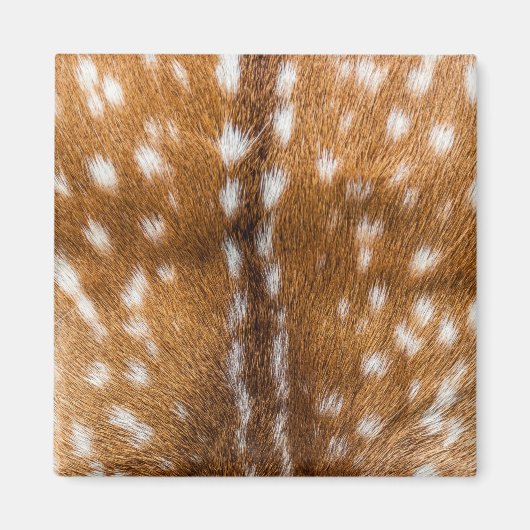 Gepunktete Hirschpelzstruktur Magnet (Vorne)