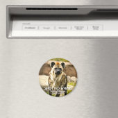 Gepunktete Hyena グ ネ Magnet (In Situ (Geschirrspüler))