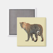 Gepunktete Leopard Wild Cat Fotografie Magnet (Vorderseite/Rückseite)