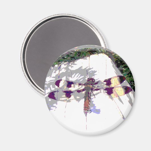 Gepunktete Libelle Magnet (Vorderseite/Rückseite)