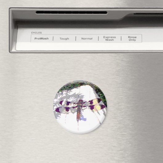 Gepunktete Libelle Magnet (In Situ (Geschirrspüler))
