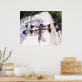 Gepunktete Libelle Poster (Küche)