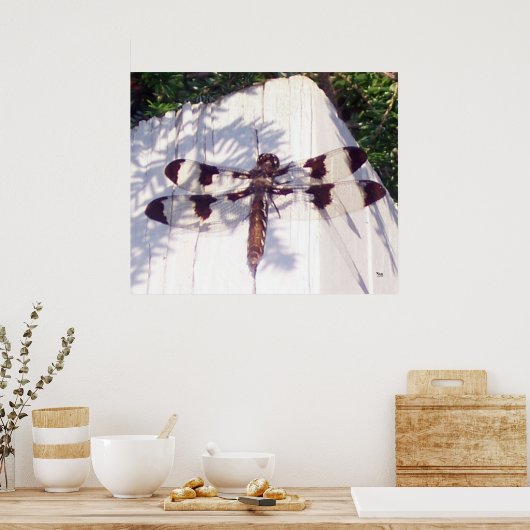 Gepunktete Libelle Poster (Küche)